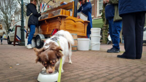 Harinkje happen met Vriend! in de Reinkenstraat, dag 1502