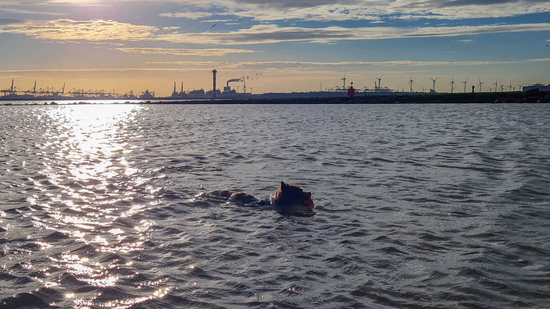 Hoek van Holland laatste keer? Dag 1751