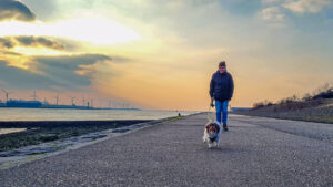 Vriend!je en Marja naar Hoek van Holland, dag 1528