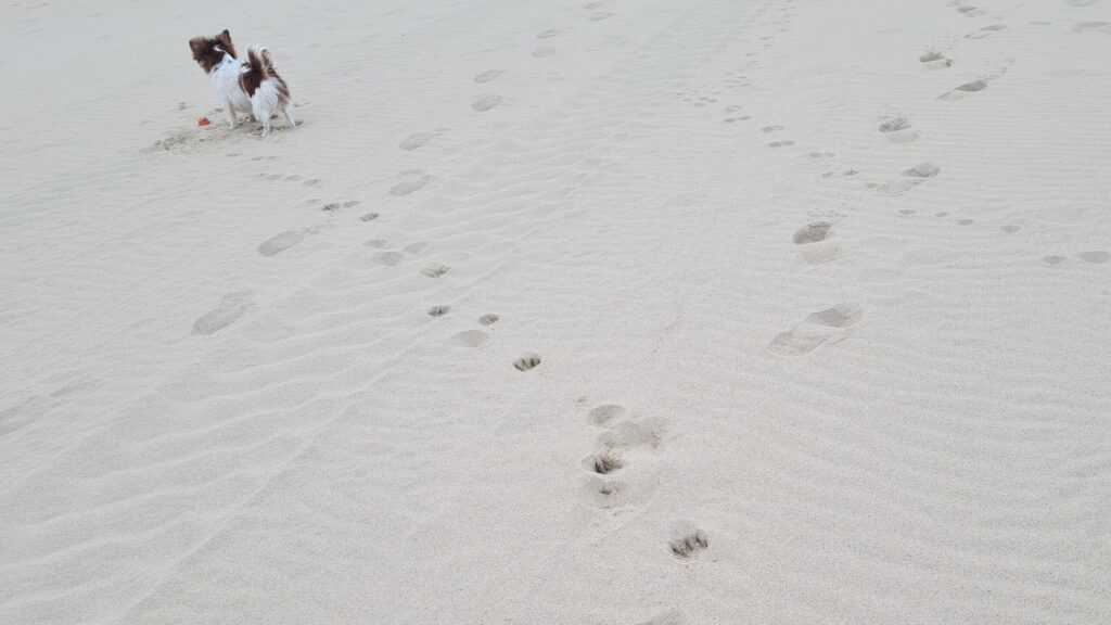 Vriend!je lekker naar het strand met Marja, dag 1473