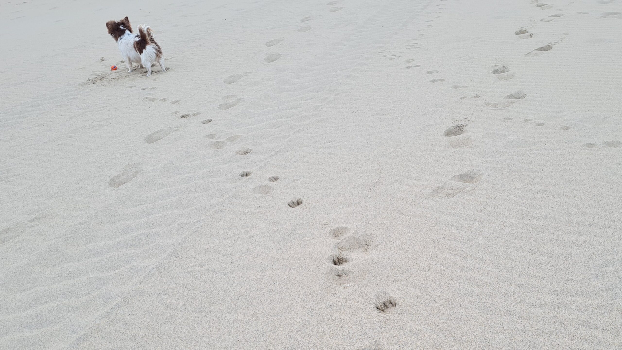 Vriend!je lekker naar het strand met Marja, dag 1473