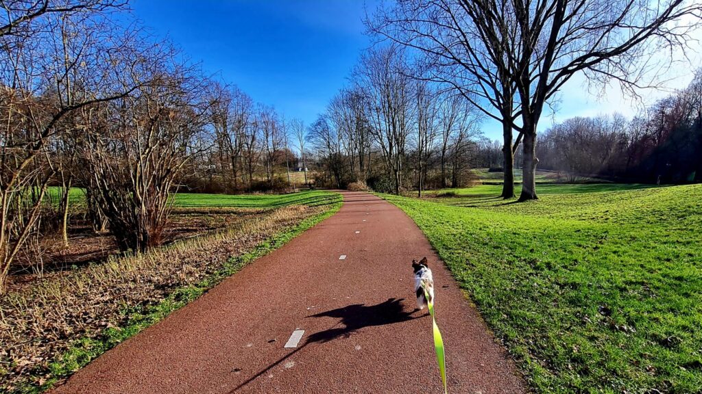 Vandaag met kleine Vriend! wandelen, dag 1489