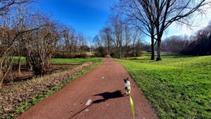 Vandaag met kleine Vriend! wandelen, dag 1489