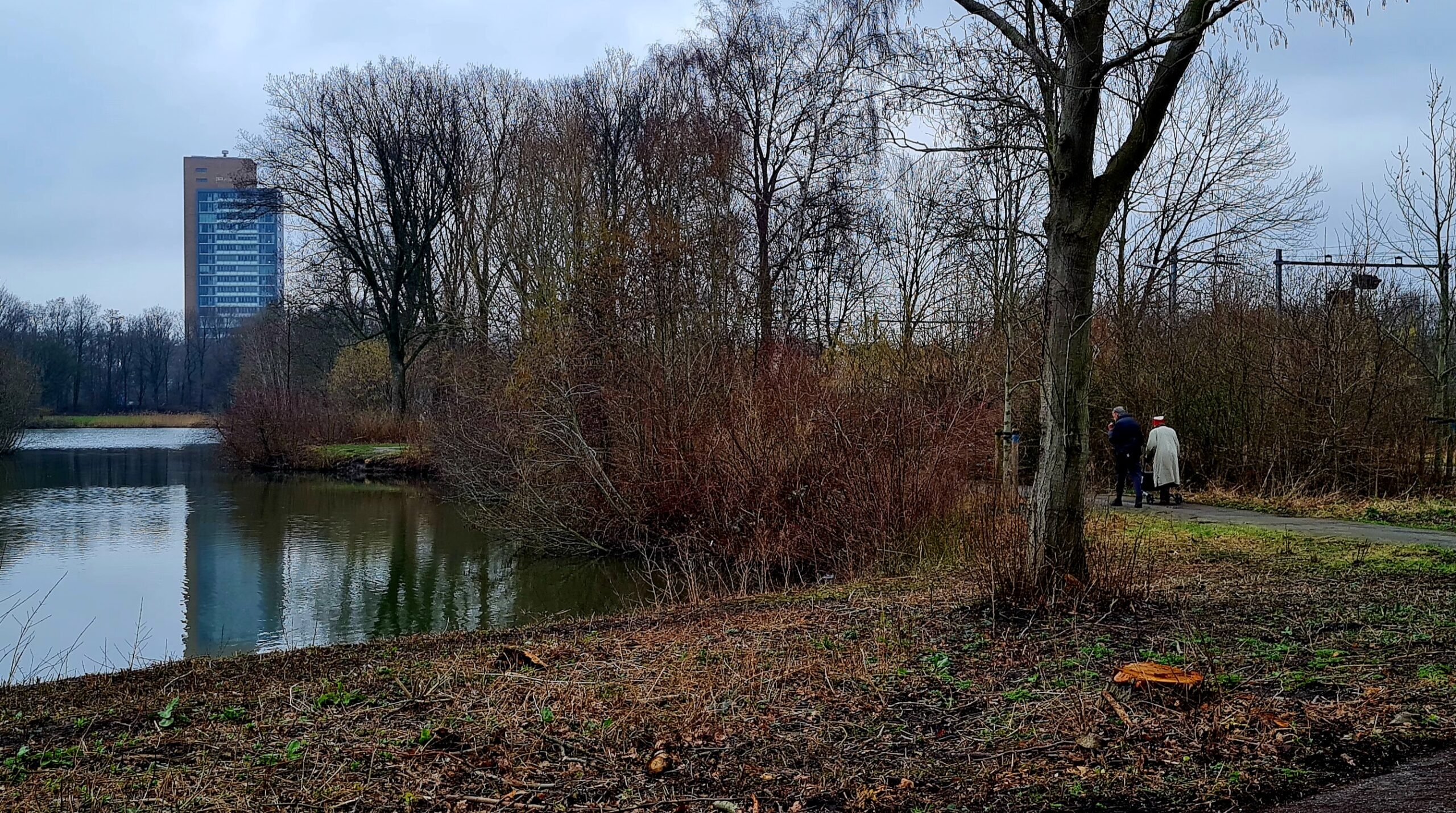 Mooie wandeling in het park van Rijswijk, dag 1503