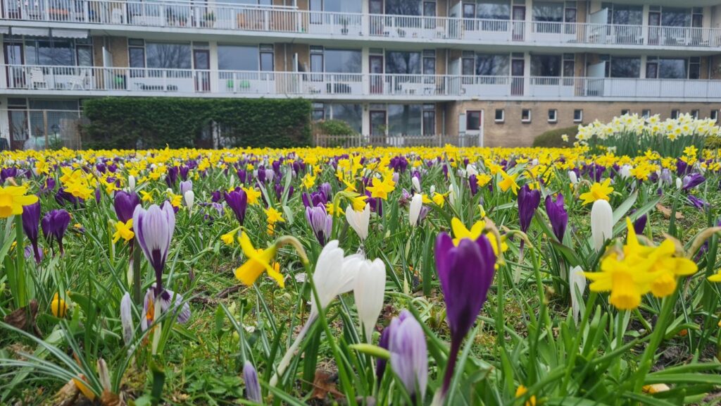 Wel weer gezellig al die lente bloemen, dag 1539