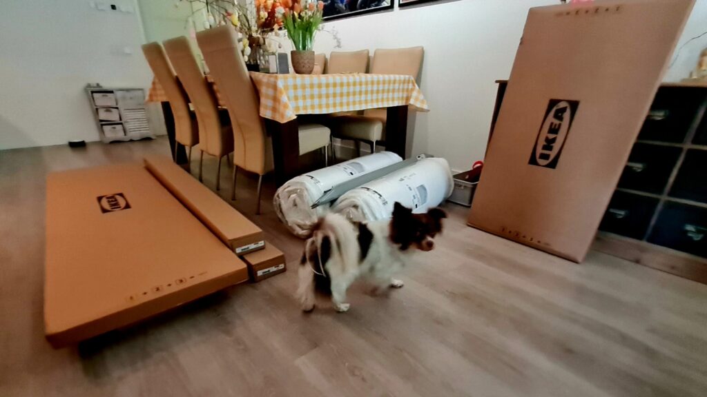 Een stapel Ikea dozen en een hondje, dag 1549