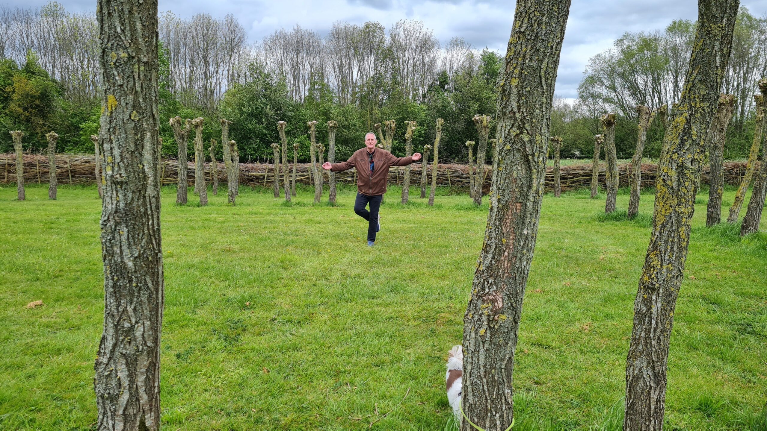 Even Zen tussen de bomen en kop in de wind, dag 1580