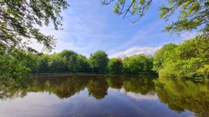 Mooi weer dan wandelen door het bos, dag 1596