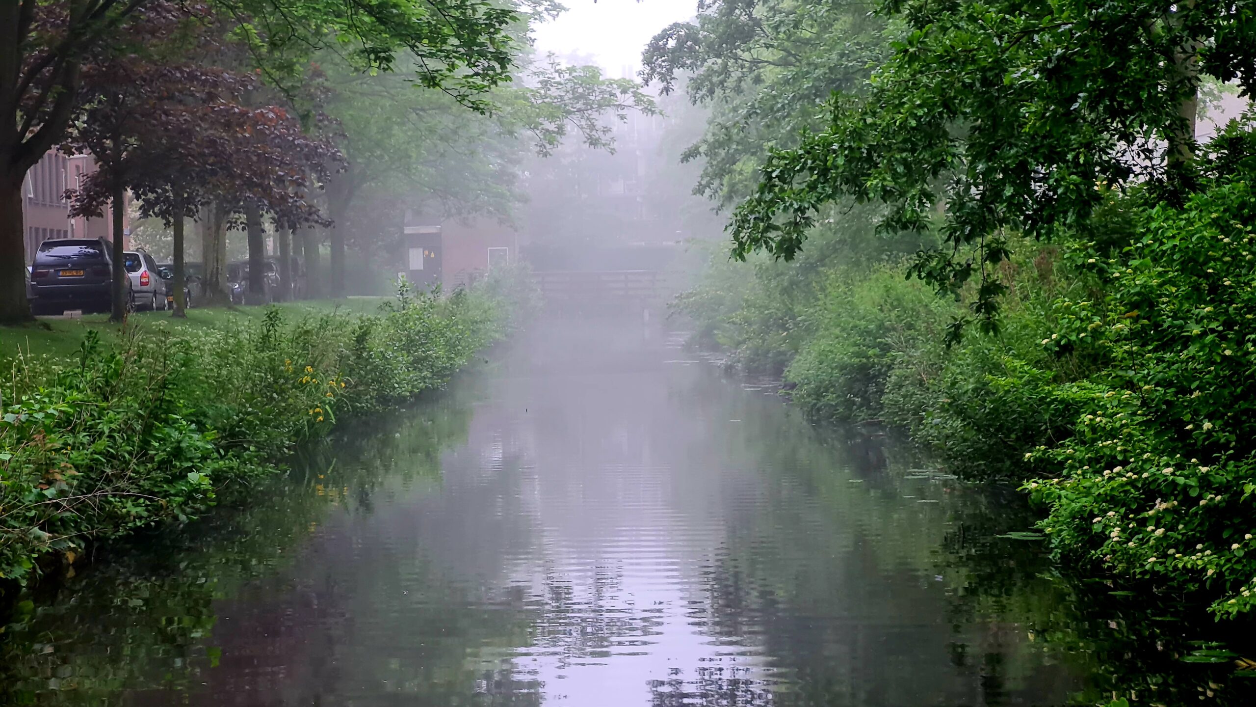 Vanmorgen een rare mist boven de sloot, dag 1601