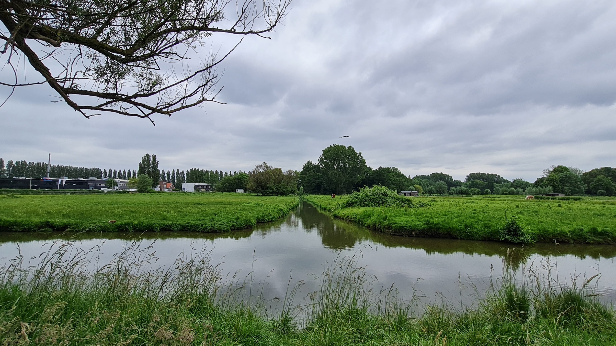 Van de Geul naar het Elsenburgerbos, dag 1616