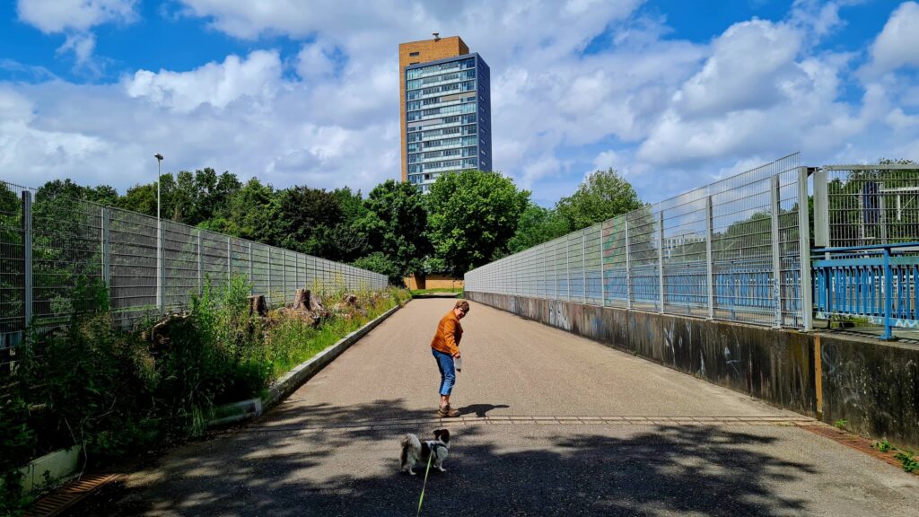 Nog even een rondje Wilhelminapark, dag 1622