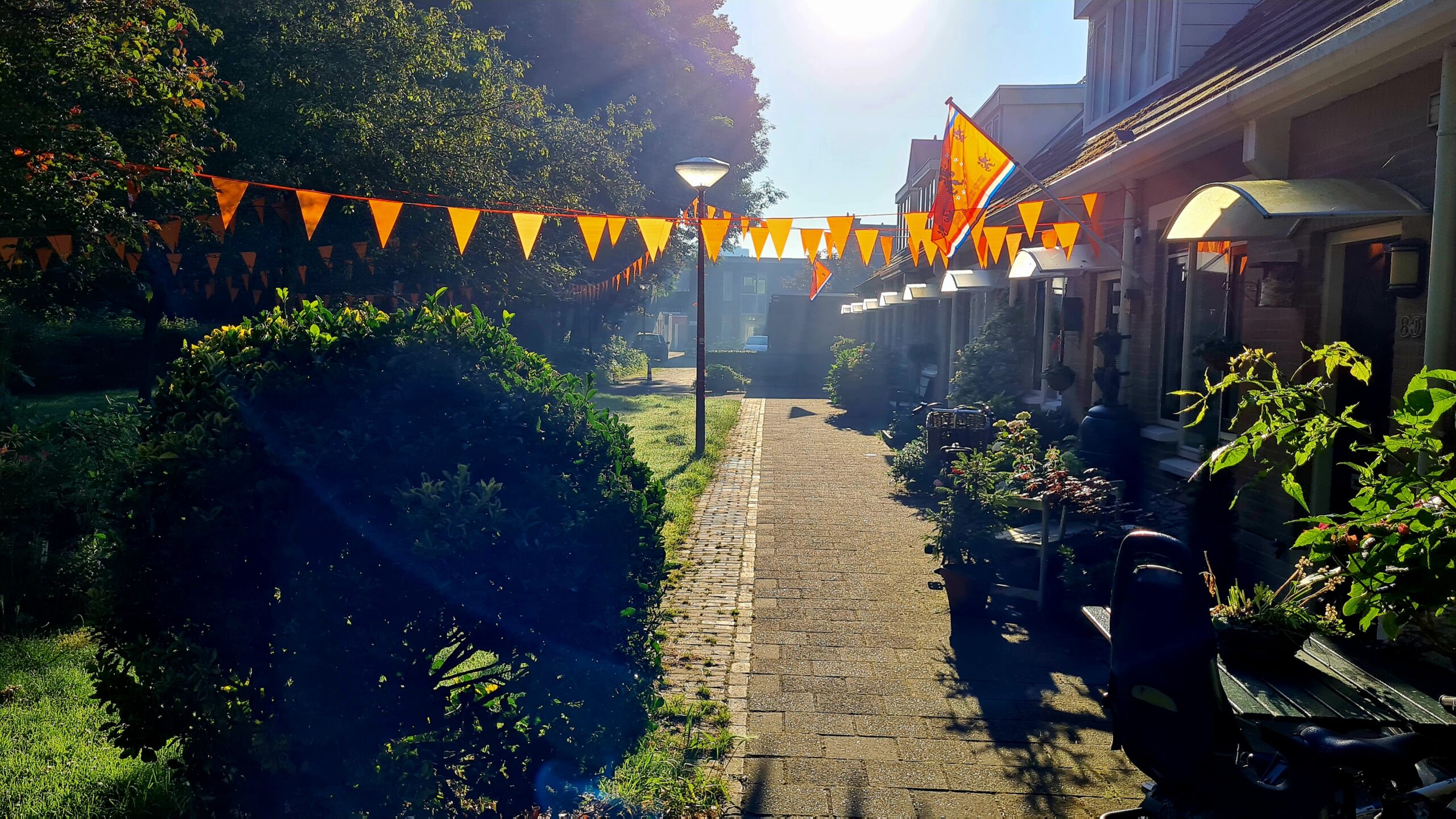 Leuk die vlaggetjes in de laatste mist, dag 1637