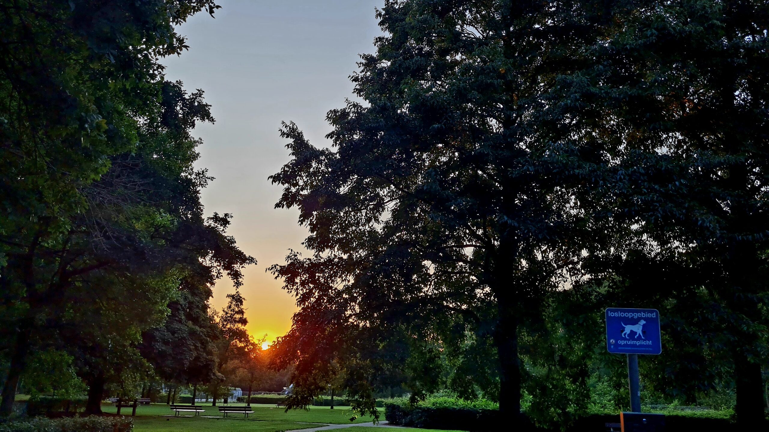 Mooi zonnetje in het park vanmorgen, dag 1711