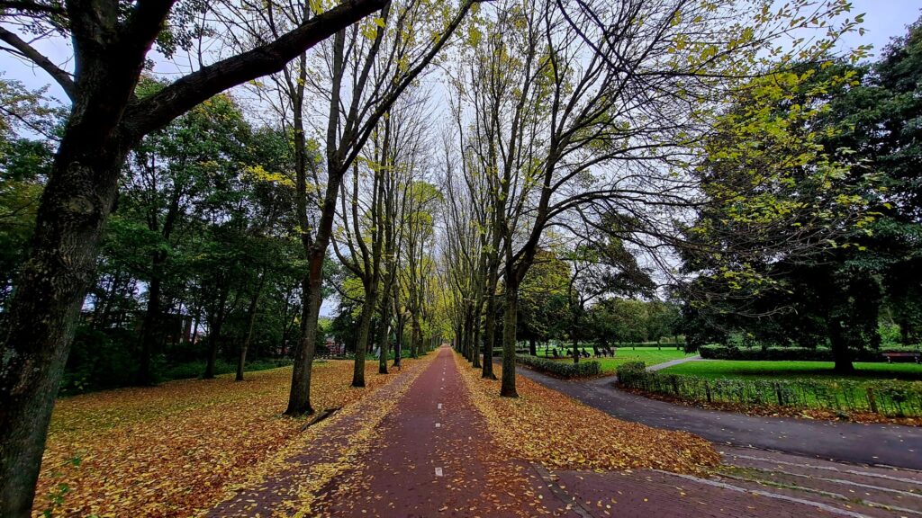 En ja hoor de jaarlijkse herfst foto, dag 1752