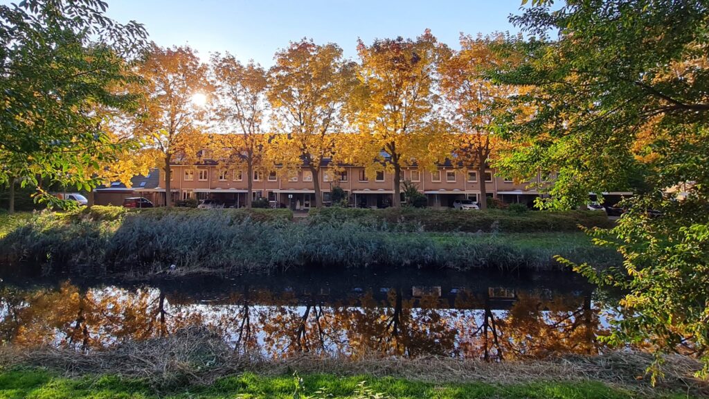 Herfst en lekker warm vandaag op dag 1760