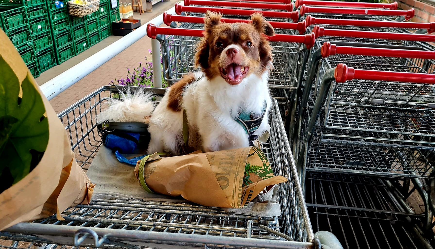 Vriend!je lekker shoppen bij Oninks, dag 1702