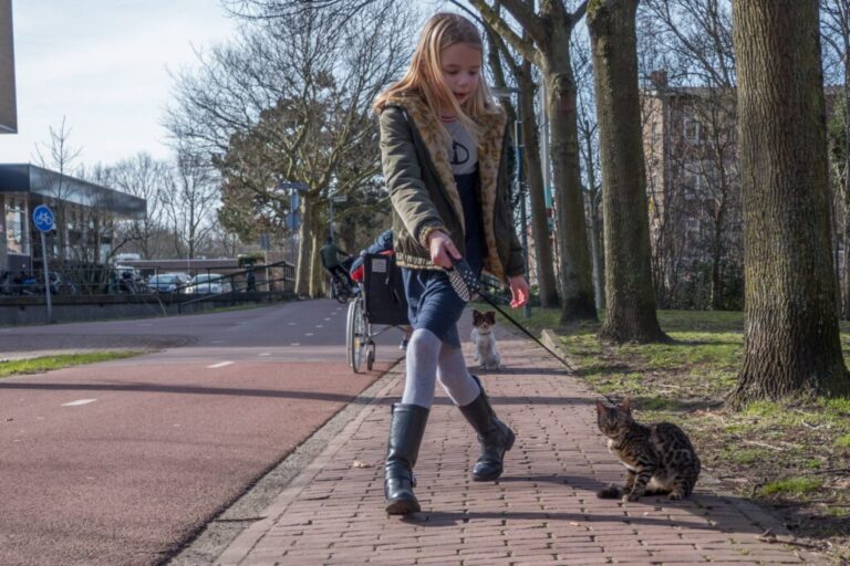 Niet voor de poes