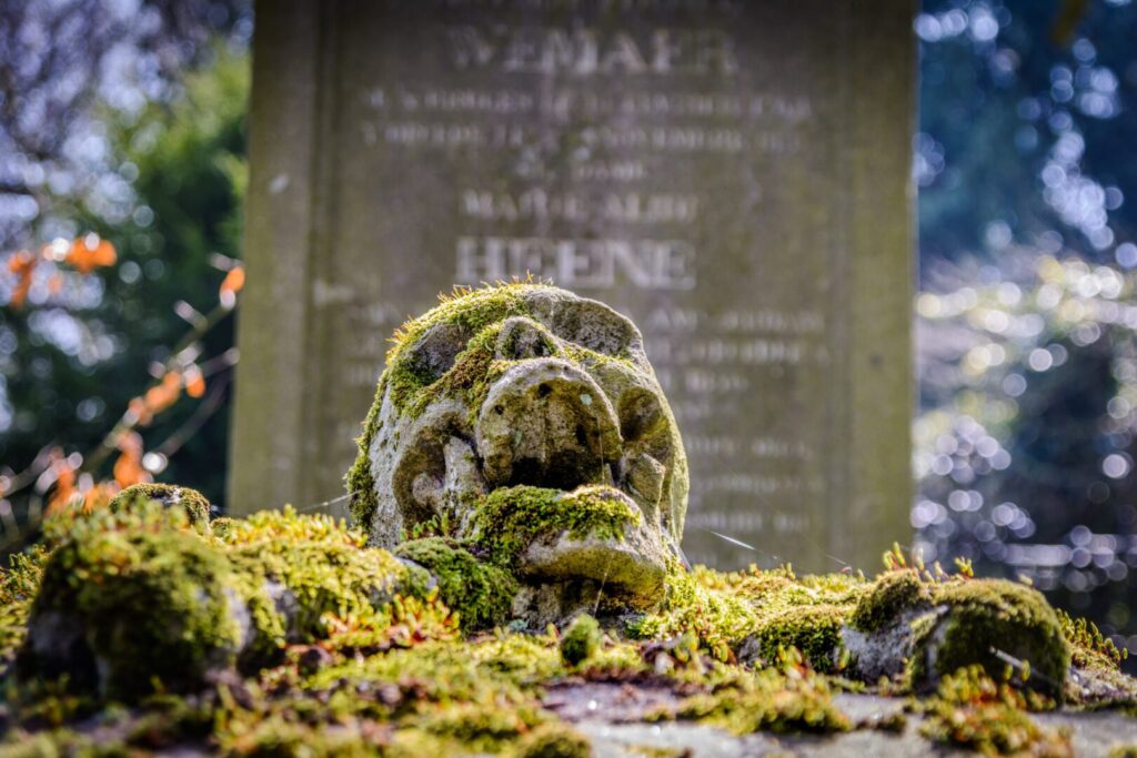 Cemetery of the Skull